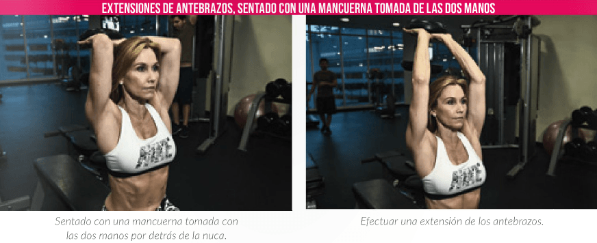 S&H_98_Extensiones_de_antebrazos