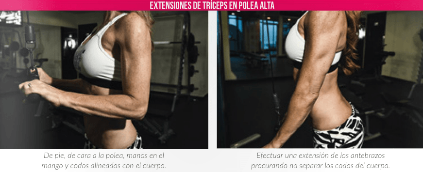S&H_98_Extensiones_de_triceps